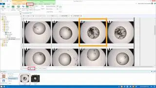 ROCK MAKER® Crystallization Software - Optimization Screen