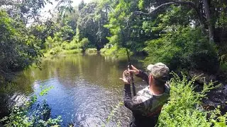 BIG FISH small CREEK *ENDANGERED SPECIES* - Testing Out New Rods
