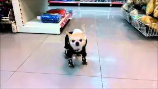 Уморительно...
