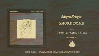 Allegra Krieger - Fragile Plane: B-Sides [FULL ALBUM STREAM]