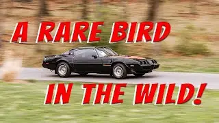 1979 Pontiac Firebird Trans-Am for Sale - Walk Around and Test Drive Loaded with Extras