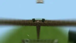 Wither Bos besar