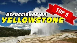 5 Atracciones Increíbles que Debes Ver en Yellowstone National Park
