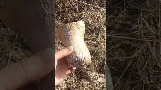 Дарите женщинам цветы.