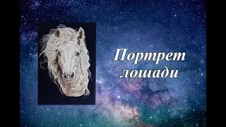 Портрет лошади валяние шерсти на холсте.