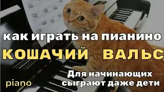 Как играть на пианино Кошачий вальс для начинающих