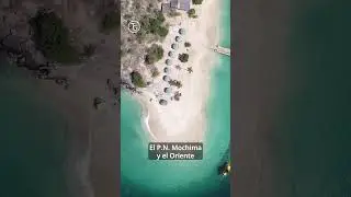 Sabías que los corales de El Caribe venezolano podrían desaparecer?