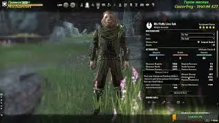 TESO PVE build - стамина-гибридная сборка, на любую расу и класс.