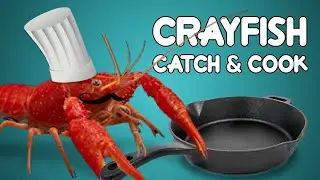 Crayfish Catch and Cook [Italian Recipe]