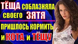 Любимая теща