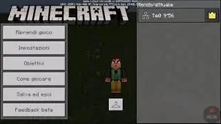 Come avere il Conmand block in Minecraft PE