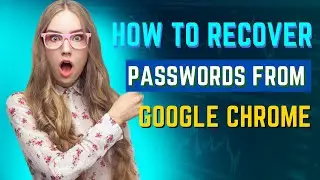 How to recover passwords from Google Chrome | How to Export and Delete Google Chrome Saved Passwords