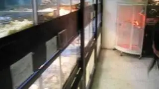 Pet Store in Los Angeles.