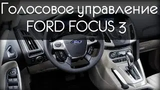 Voice control in FORD FOCUS 3 SYNC package