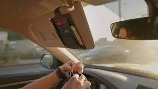 Leather Car Visor Organizer | Londo