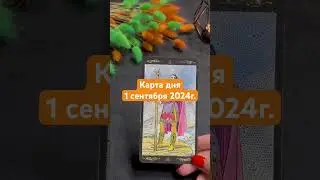 Карта дня 1 сентября  2024г. #картадня #душевноетаро  #tarotcards