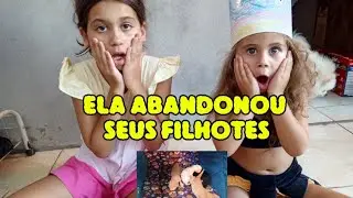 Os filhotes nasceram ❤️😍