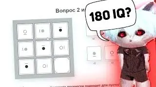 курсед проходит тест на айкью