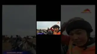 Кутман балбан Улан балбандын Залатой деген аты менен салымы бир Тоо 🐪