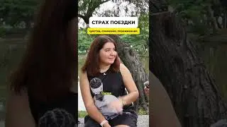 Помогаем учителям английского с работой 🔥 в профиле жми ссылку на «программу трудоустройства»