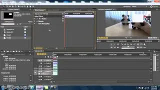 How to blur more than one face in the same shot to hide identities.Adobe Premier Pro CS5.Cops Effect