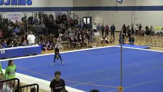 Alivia Weathers-4A State Floor Routine (11-2-2018)