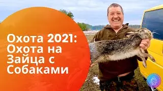 Охота 2021: Охота на зайца с Дратхааром и Курцхааром