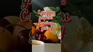 Доброго утра! Счастливого дня!☕🌺#доброеутро #стасмихайлов#тамаракутидзе #звонимнепрямовсердце#shorts