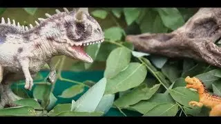 ДИНОЗАВРЫ И ЖИВОТНЫЕ! Маленькие динозавры! Сборник мультиков для детей про динозавров