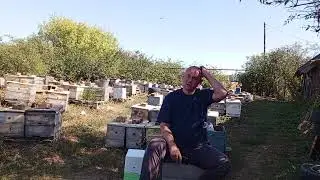 Ответ по медогонке