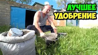Сюжет из жизни в деревне о том, как я раздобыл идеальное удобрение для огорода и просеял его в 2022