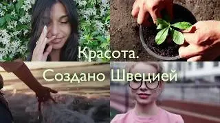 Красота  Создано Швецией