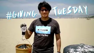 Heal the Bay is here for good