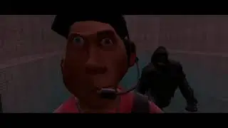 Scout vs. Harambe