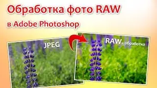 Обработка фото RAW в Adobe Photoshop