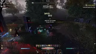 ESO - BROKEN Stamina nightblade 1vx