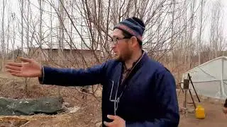 Indushka suvda