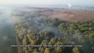 Danube Delta and Dobrogea, the Birding Paradise