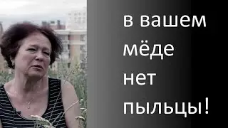 Ветлаборатория не обнаружила пыльцу в мёде