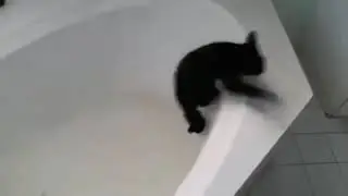 Ран