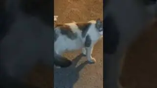 #iyilikdokunușu