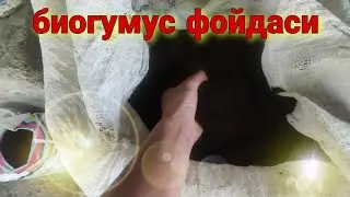 chuvalchanglarga pochoq bersa nima boladi/ чувалчангларга пучок берса нима булади