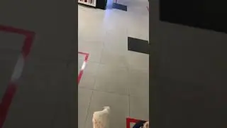 Первый взгляд на Биг Тейсти Ролл