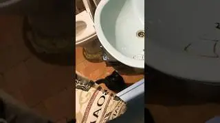 Верно ждёт мой ангелочек 👼 \преданность /волнения 😢