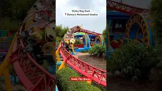 Slinky Dog Dash 🐶🎢 