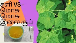 சளி, இருமல், மூக்கு ஒழுகுதலில் இருந்து விடுபட இயற்கை மருத்துவம் மொசு மொசு கீரை சூப்.  cough relife