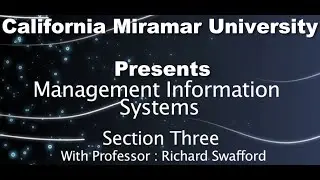 Management Information Systems - Lesson Three