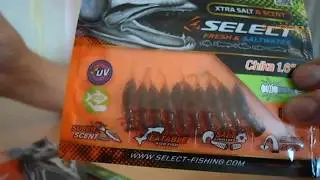 Baits from SELECT - Goby and Chika