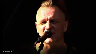 DZELZS VILKS - TEV ORANŽI MATI - POSITIVUS 2017