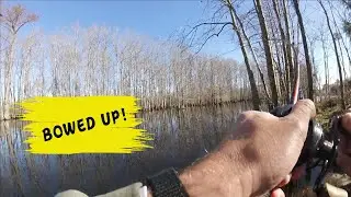 Backwater Bass and Bowfin ft. Elias V
